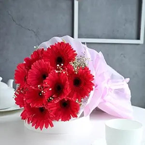 Gerbera Mix Flowering Seeds for Beautiful Blossoms, Ideal for Planting and Gardening Enthusiasts
