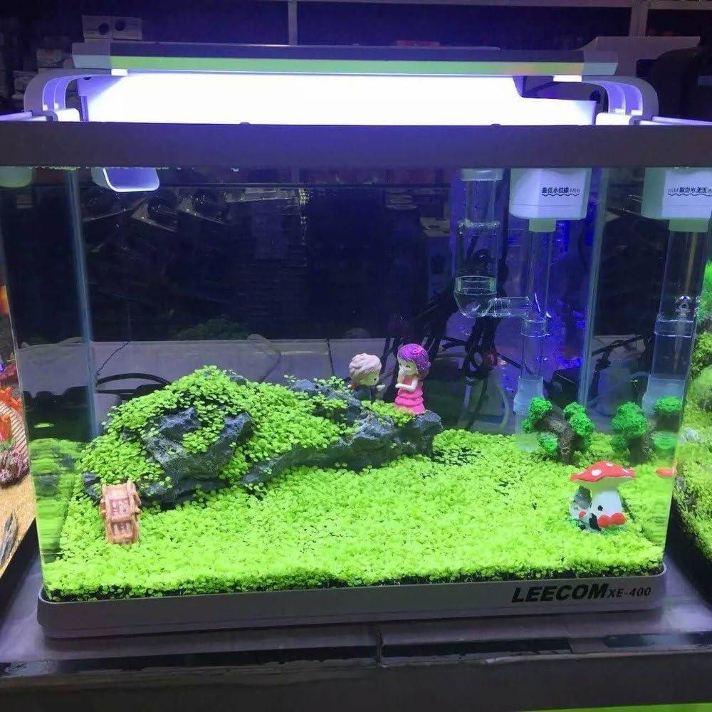 Aquatic Double Leaf Aquarium Plants Seeds